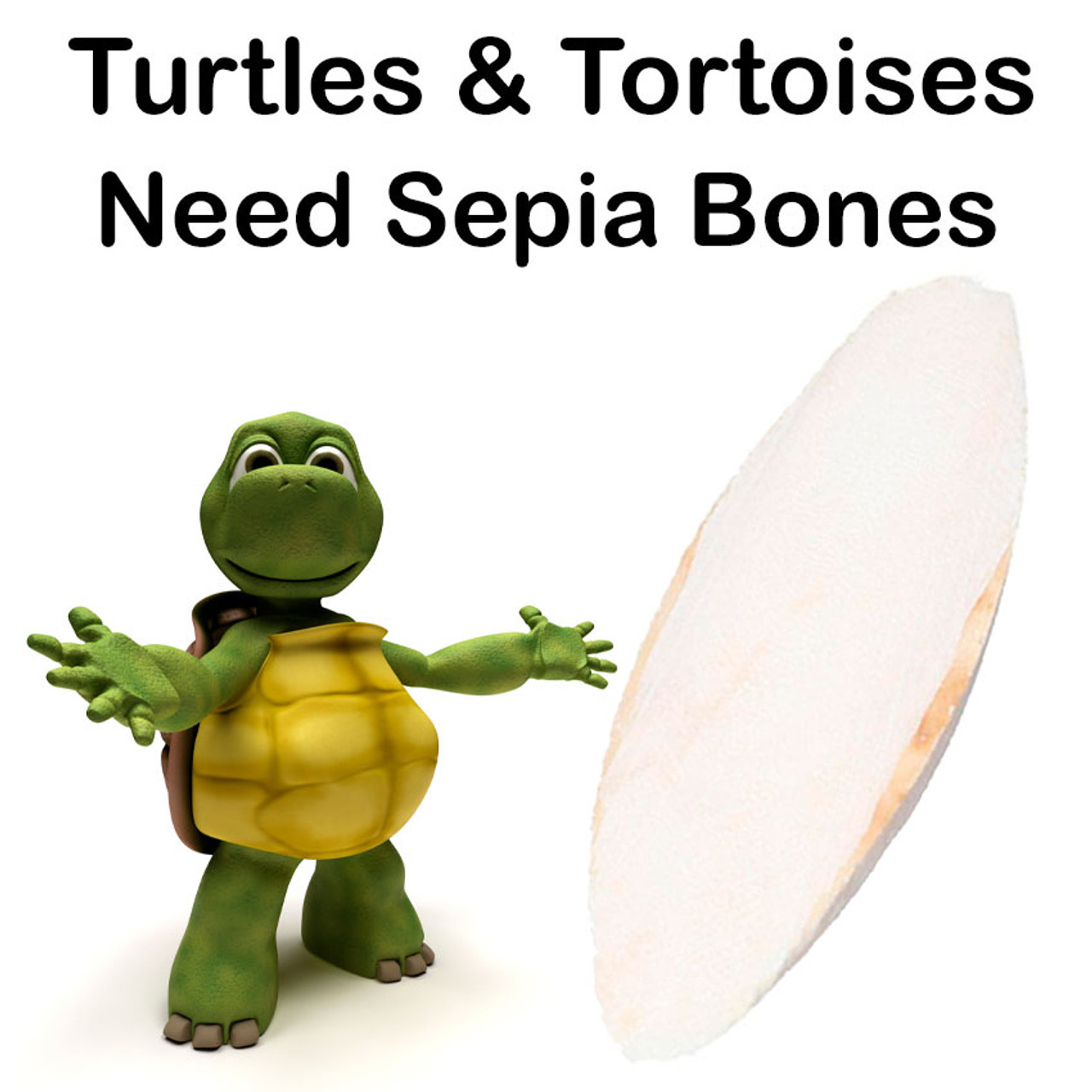 Turtle Sepia Bones for sale