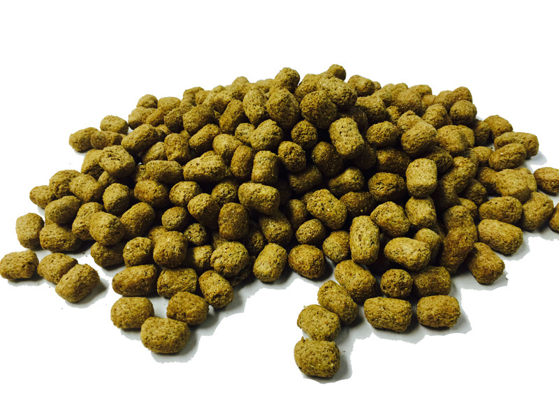 Premium Tortoise Food - MyTurtleStore.com