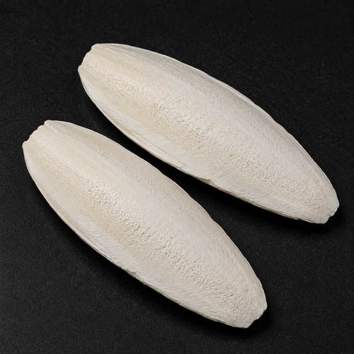Sepia Bones Two Pack
