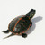 BOGO Southern Painted Turtle - Baby Grade A (2 Turtles)