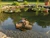 Floating Basking Log 24x24x7