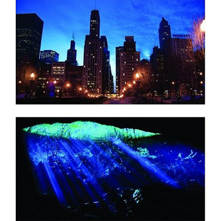 Cityscape - Underwater 10 Gallon Tank Size - MyTurtleStore.com