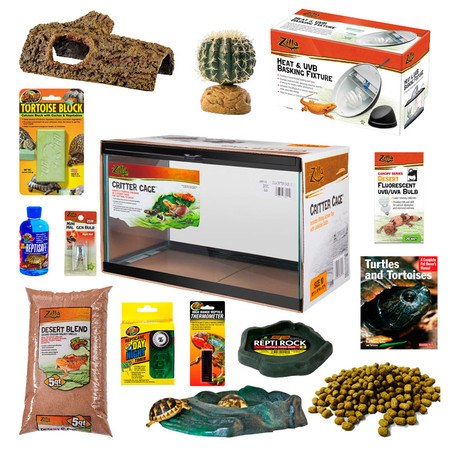 our-10-gallon-desert-tortoise-