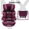 Everett NXT high back booster seat dimensions [Plum]