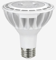 14W LED PAR30 Flood Lamp