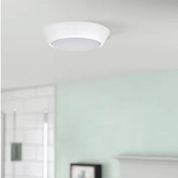 10W 7" LED Small Flush Mount