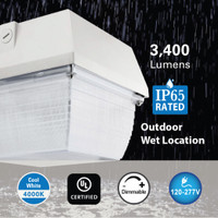 40W White LED Traditional Canopy and Garage Light Ceiling 4000K 5000K