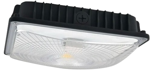 Canopy Lights