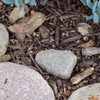 Rock Key Hider | 1/Card