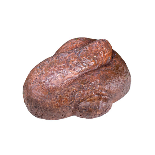 Doggiedoo Key Hider | 1/Card