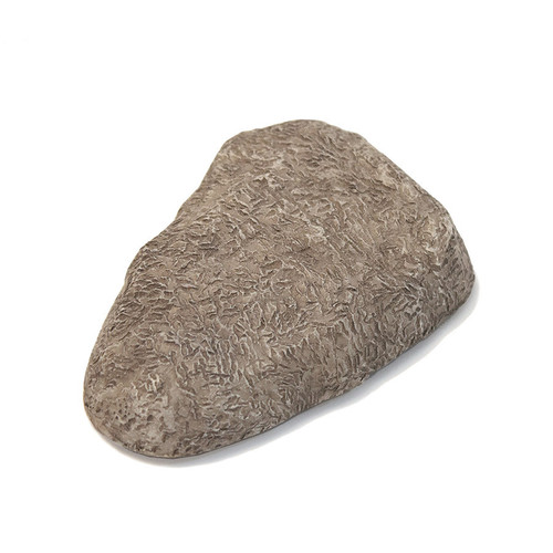 Rock Key Hider | 1/Card