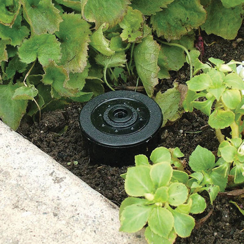 Sprinkler Key Hider Display | 12/Display
