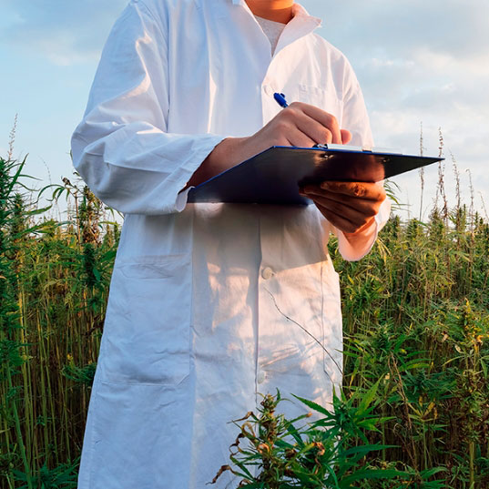 Meet Our Expert Botanist