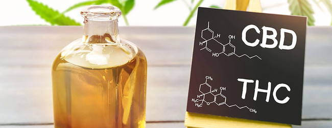 Comparing the Cannabinoids CBD and THC