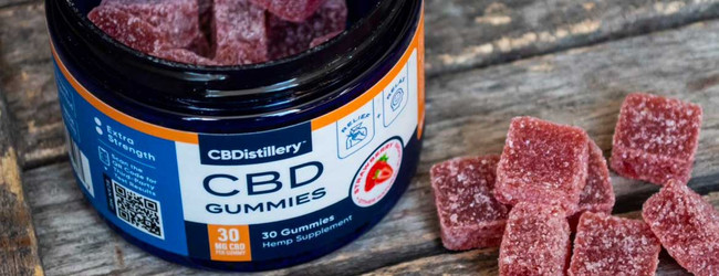 Why is CBD Popular?