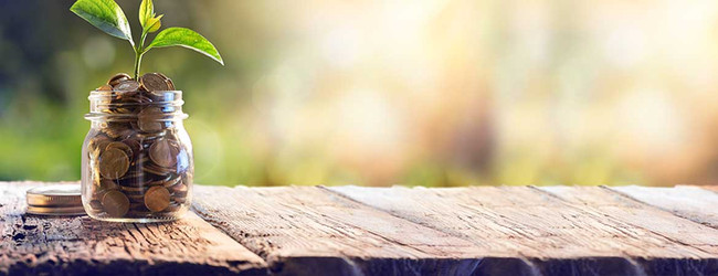 Your CBD Budget: Selecting Products to Slash the Cost of Daily Use