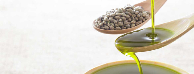 Hemp Seed Oil: Hemp Oil Uses, Benefits, and How it Differs from CBD