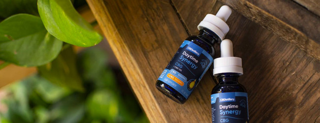 Is CBG Better Than CBD? CBG vs CBD Differences & Benefits