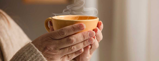 CBD Oil in Your Tea: What You Need to Know  