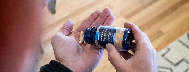 CBD and Lion's Mane: Benefits & How They Work Together