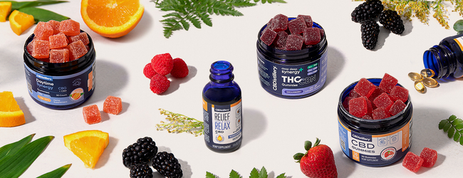 CBDistillery Becomes the First CBD Brand to Advertise on Twitter in the US