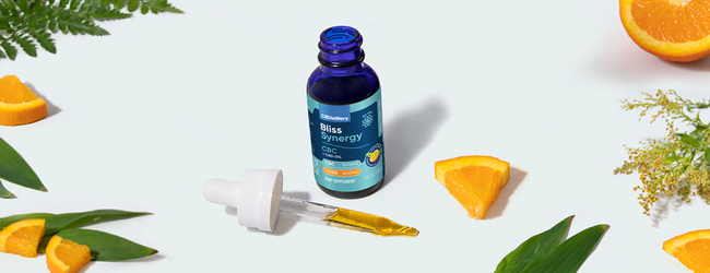 New Product Launch: Bliss Synergy CBC & CBD Oil Tincture