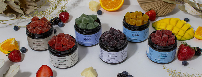 We're Distilling What Matters: Behind Our Bold New Look