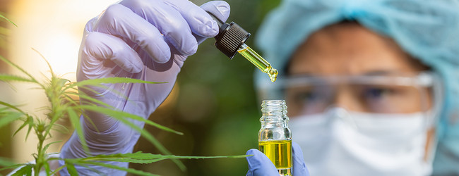 HHC vs THC: Exploring Their Differences and Possible Benefits