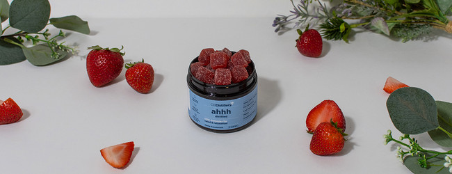 Hemp Gummies vs CBD Gummies: A Comprehensive Guide