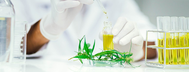 CBN vs Delta-8: A Comprehensive Comparison