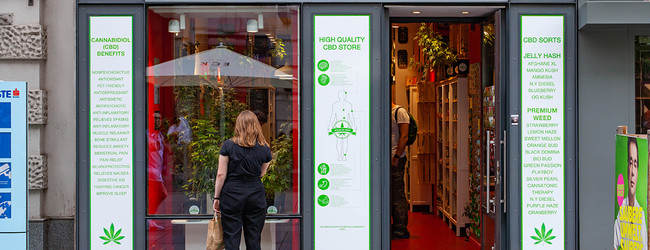 Understanding CBD: Safety, Trustworthiness, and What Every Mom Should Know