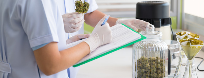 The Science Behind CBD: What You Need to Know