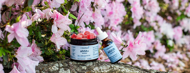 Your Guide to CBD Gummies vs. Other CBD Products