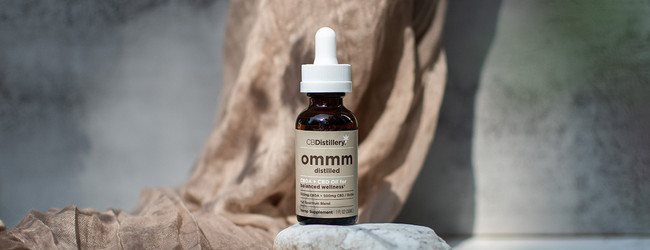 CBDA vs CBD: What is the Difference and Which is Better?