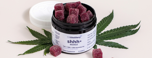 Best CBD Gummies for Beginners: What to Try First
