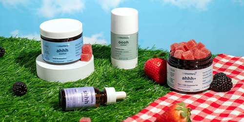 Wholesale CBD Pricing Guide: What Retailers Should Expect