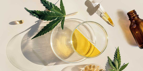 The Endocannabinoid System: A Complete Guide