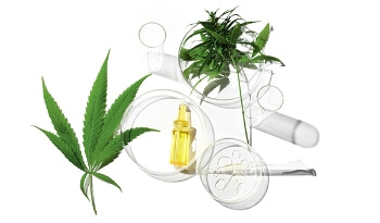 US Grown, Third Party Tested Hemp