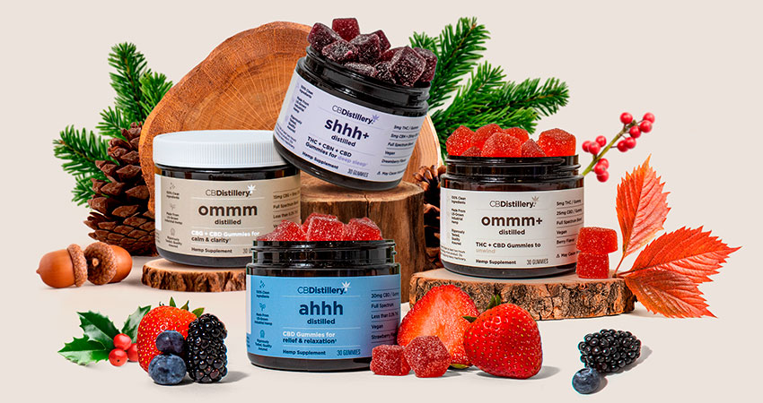 Survive & Thrive Holiday Sale