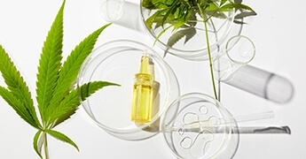 Liver Toxicity & CBD