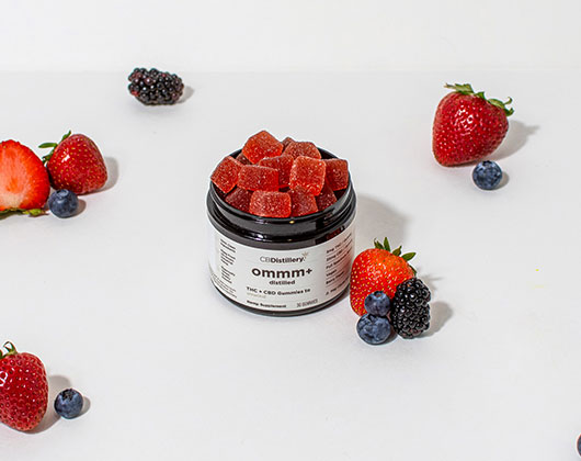 5mg THC + 25mg CBD Unwind Gummies