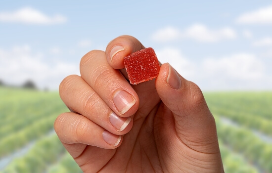 Plant Powered Relief & Relaxation