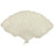 White Feather Fan