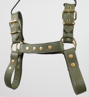 Brandon's Harness