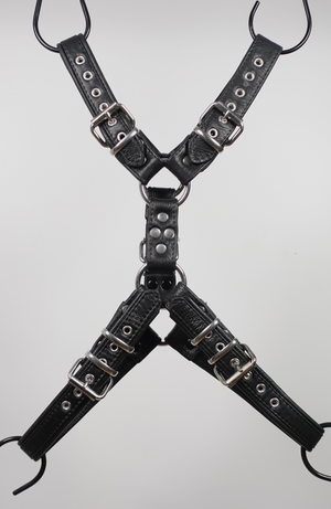 English Bulldog Harness