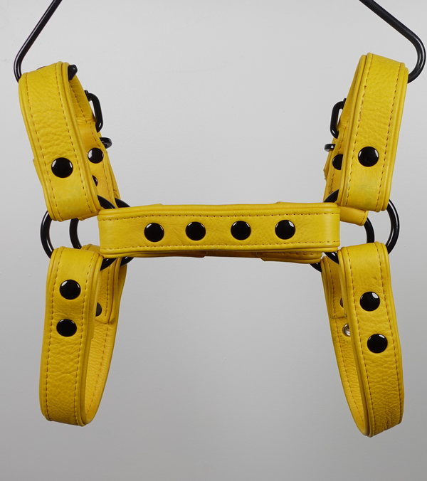Heliodor Harness