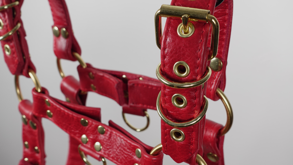 Rougetor Harness