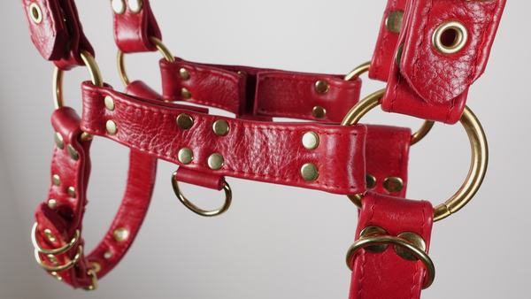 Rougetor Harness