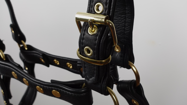 Deetran Double Strap Bulldog Harness Full Body