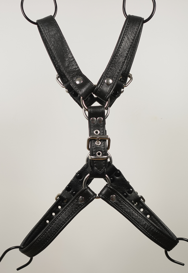 English Bulldog Harness